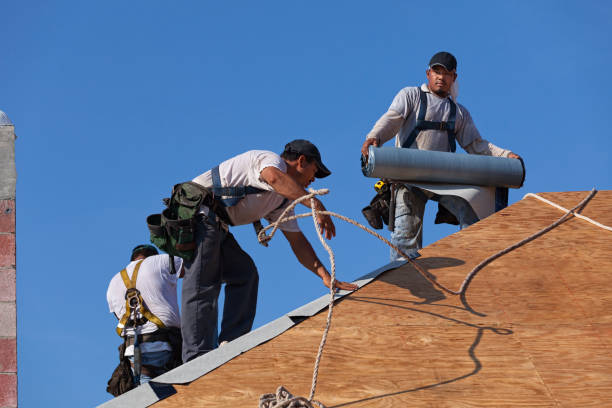 Best Roof Gutter Cleaning  in Rochester, WA
